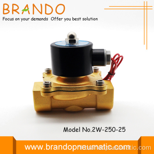 Twee directe manier station Brass solenoïde ventiel voor vers Water